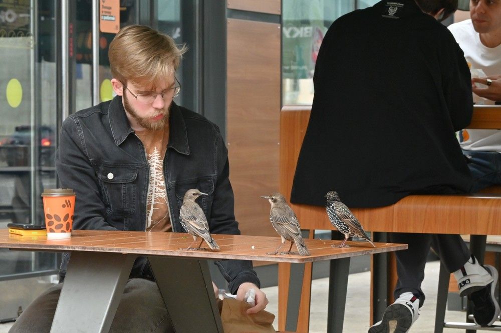 Фотография автора IRINA FILIPPOVA