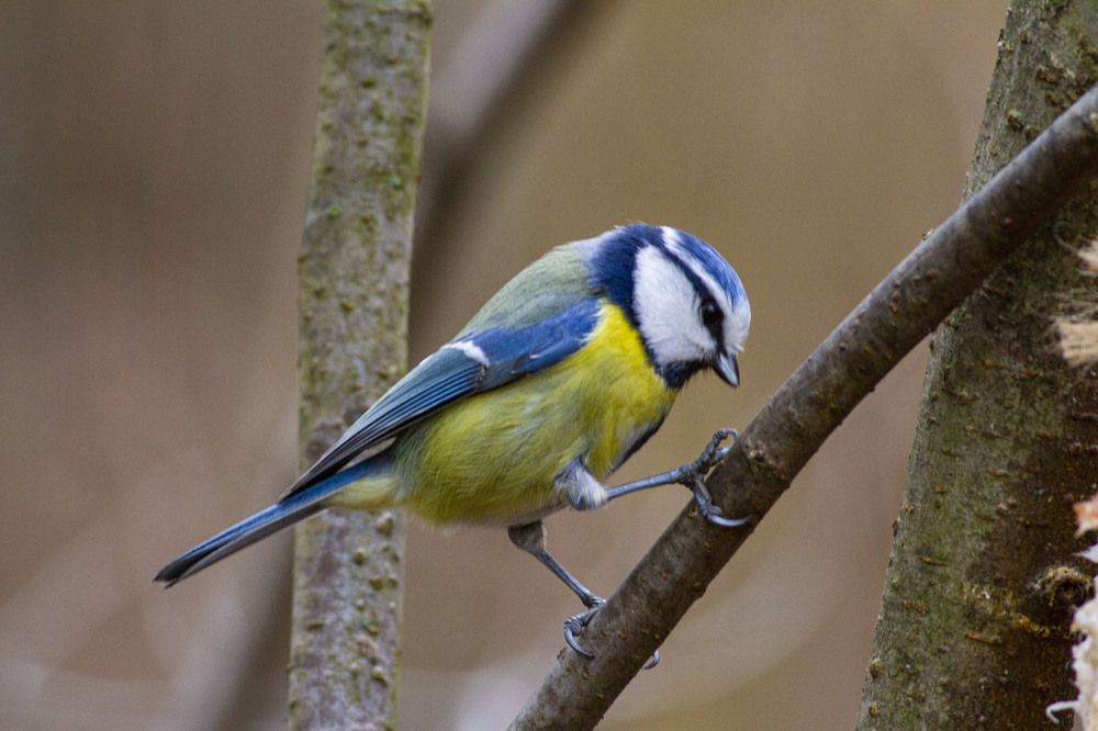 Photograph by Капанов Владислав