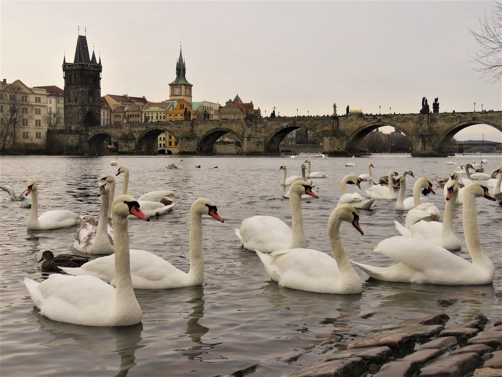 Photograph by Валерия Яскович