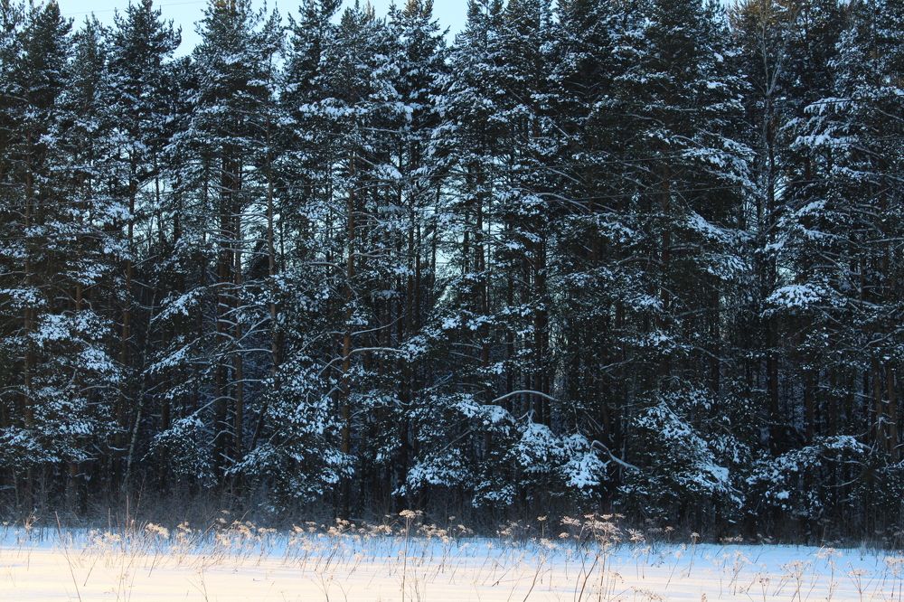 Photograph by Анна