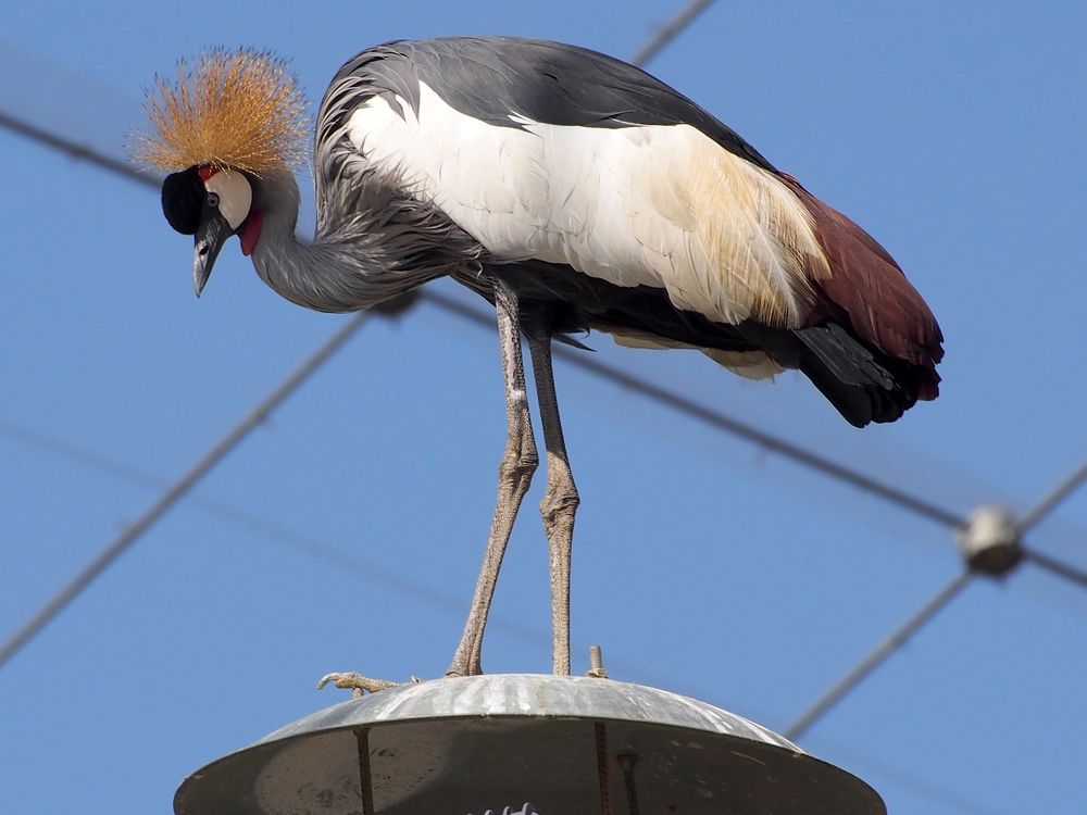 Photograph by Abdolreza Aleagha