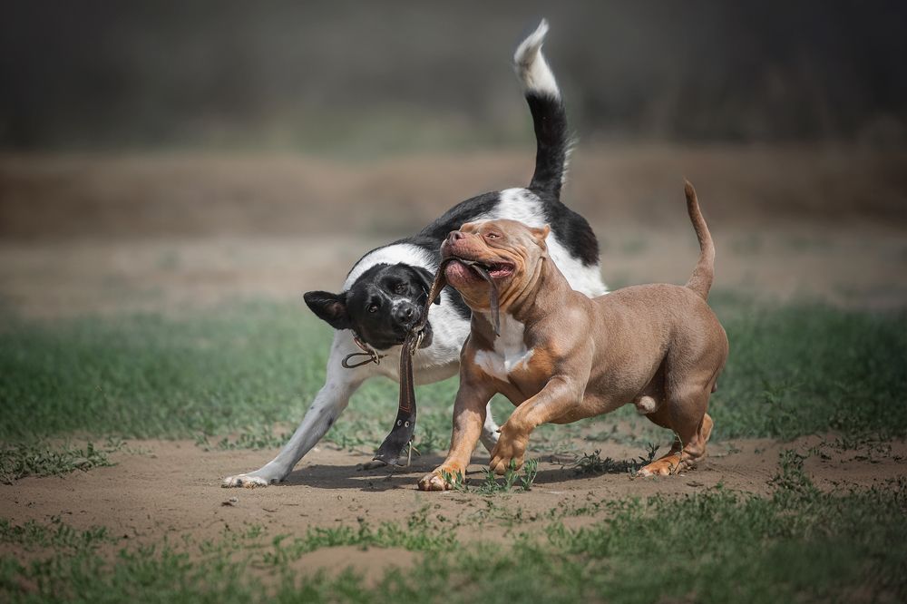 Photograph by Наталья Орел