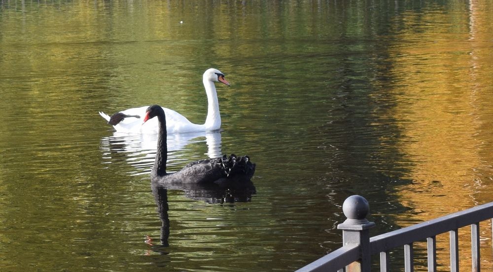 Photograph by Антонина Шабышева