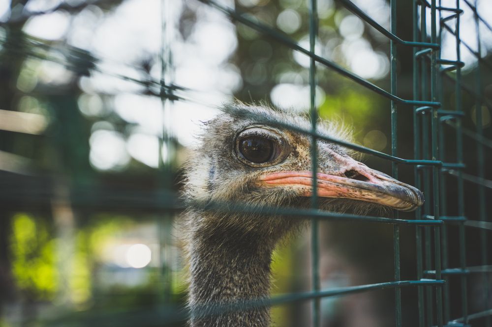 Photograph by Даниил Свиридов