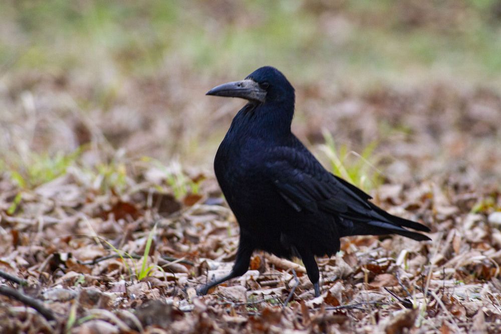 Photograph by Капанов Владислав