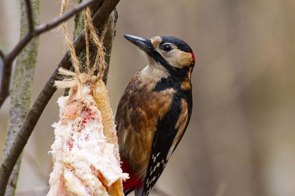Photograph by Капанов Владислав