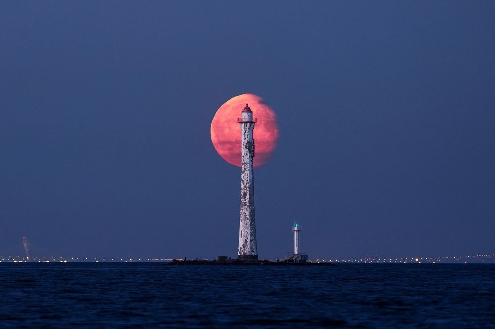 Photograph by Владимир Коровяковский