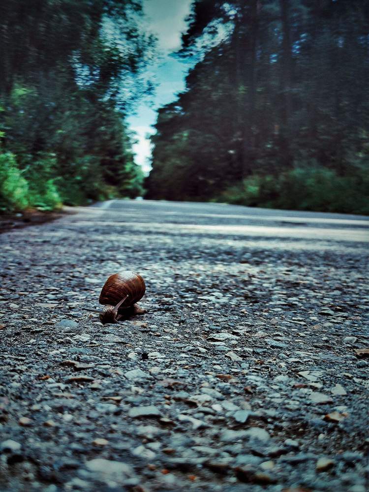 Photograph by Елена Семенова