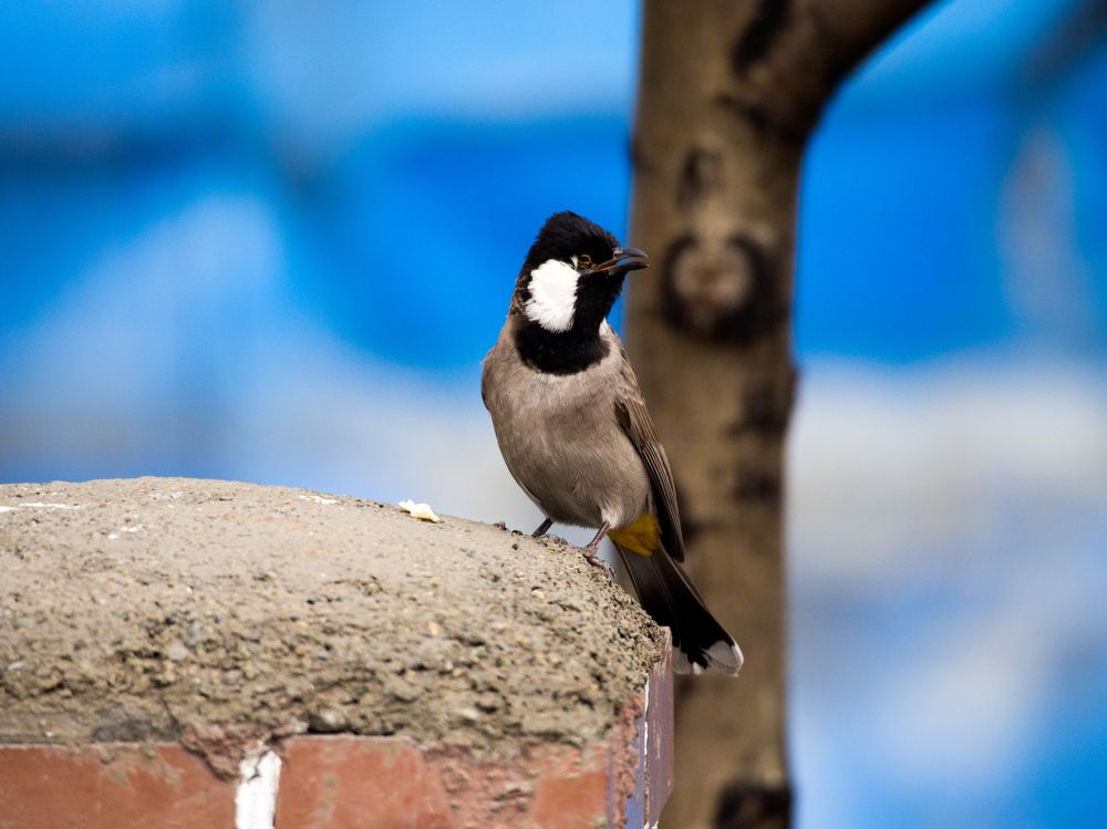 Photograph by Abdolreza Aleagha