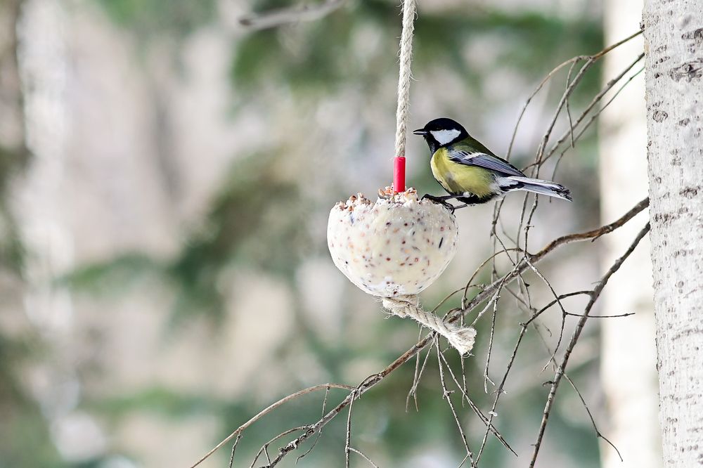 Photograph by Юлия Козельских