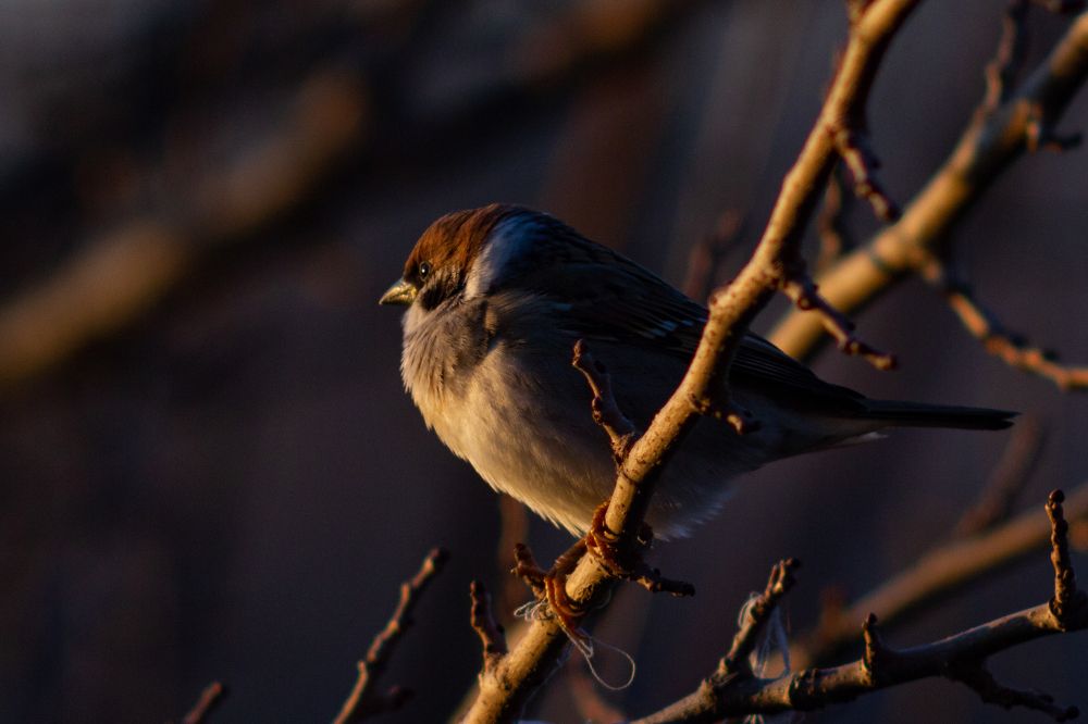 Photograph by Богдан