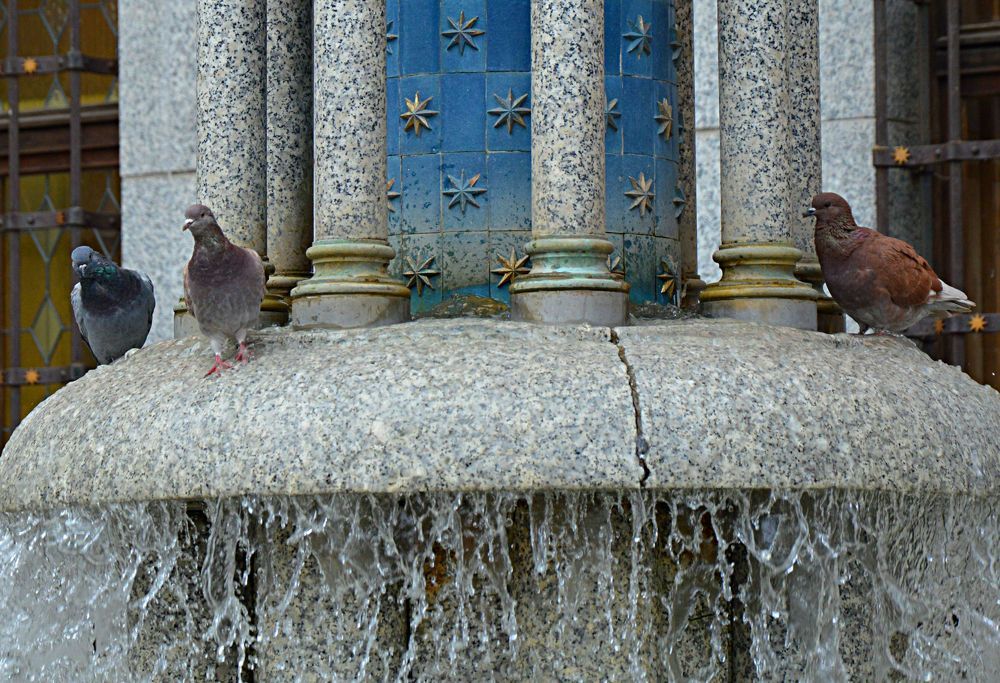 Photograph by Елена Савчук