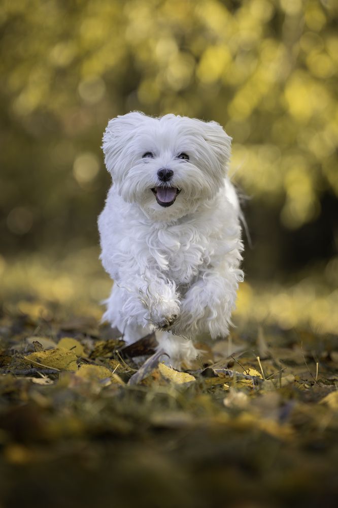 Photograph by ALESSIA ROSSI