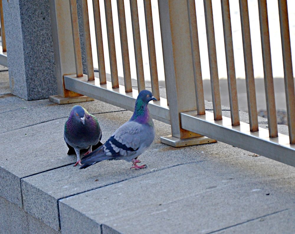 Photograph by Елена Савчук