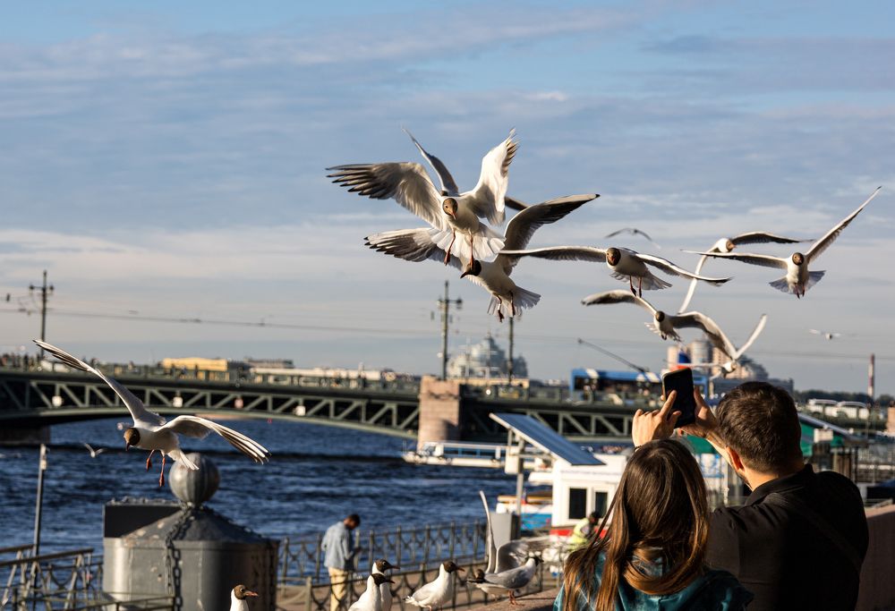 Photograph by Алексей Мерзлов