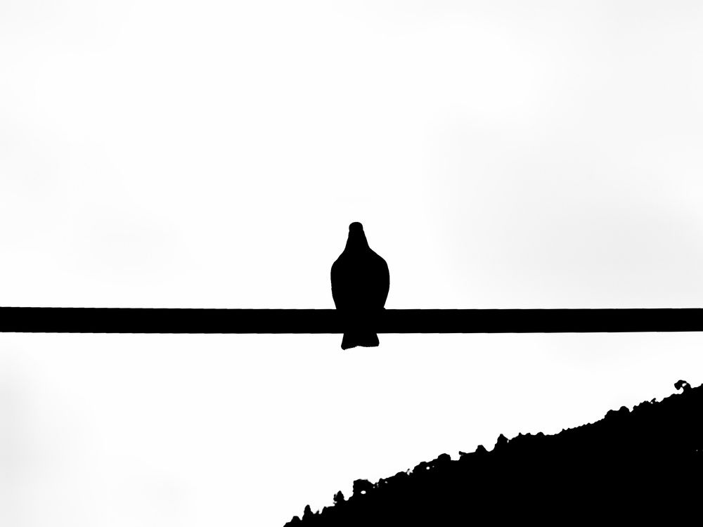 Photograph by Azzeddine Memmou