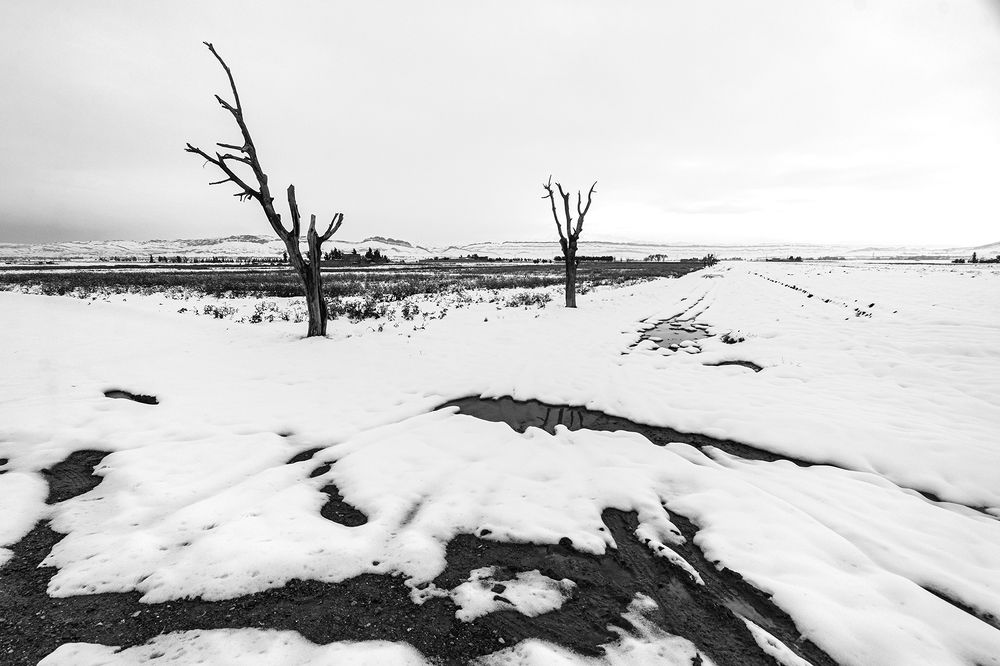 Photograph by samira sarayani