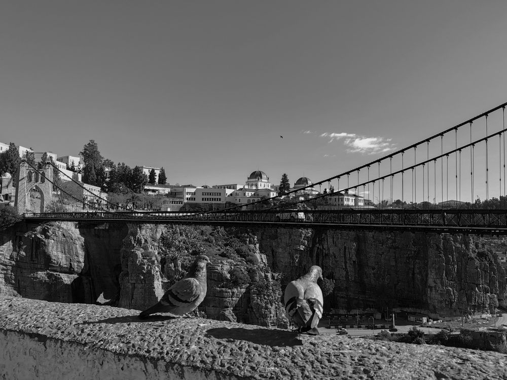 Photograph by Azzeddine Memmou