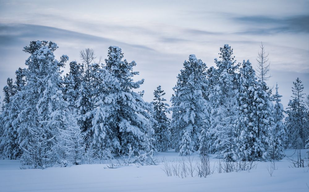 Холодный январь