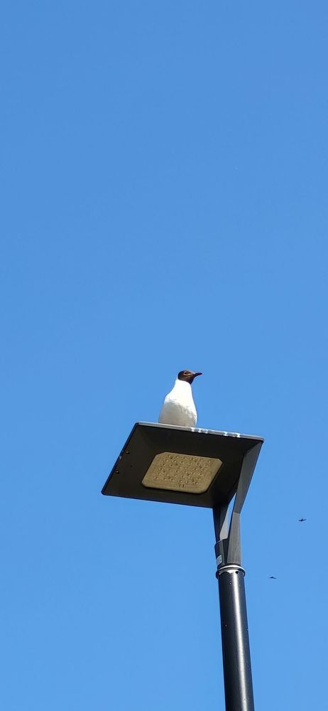 Photograph by Елена Фетисова