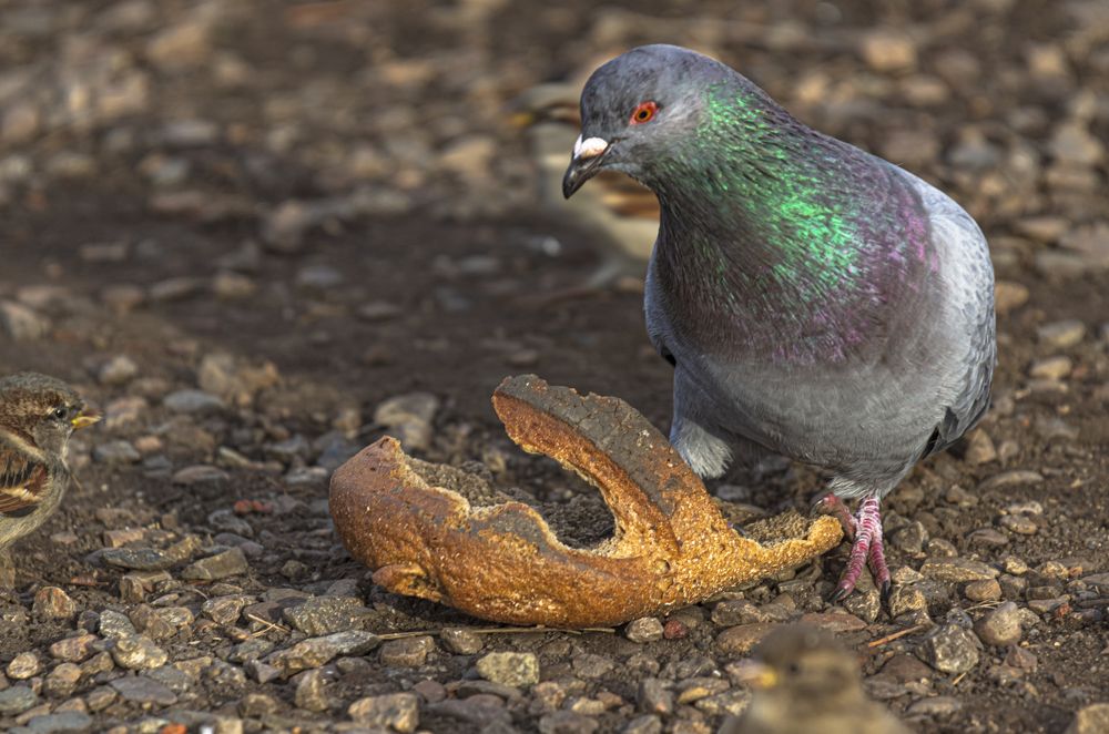 Photograph by Алексей Мякота