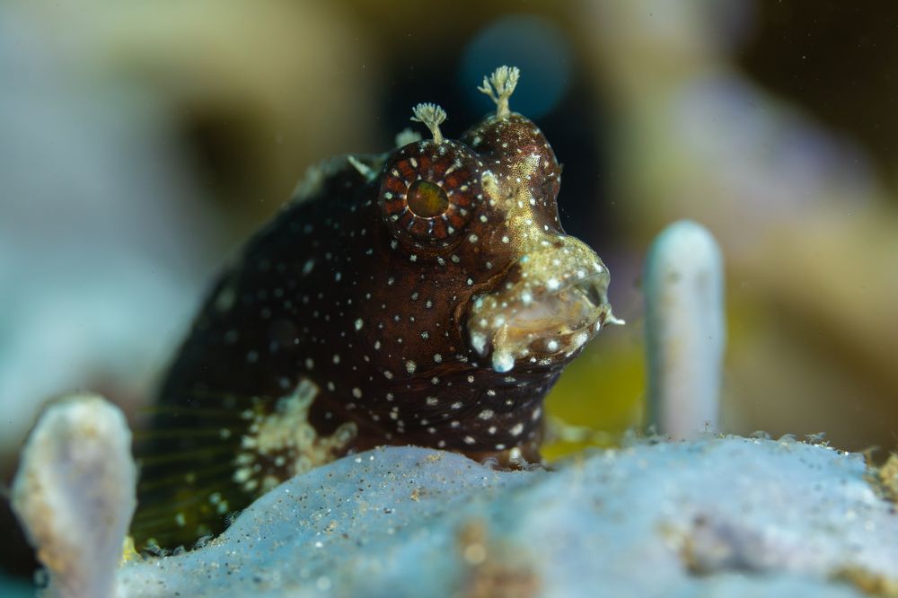 Photograph by Helena Lemos