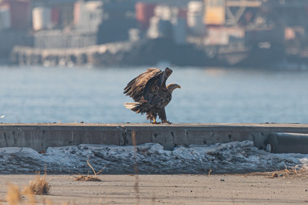 Photograph by Evgenia Loskutova