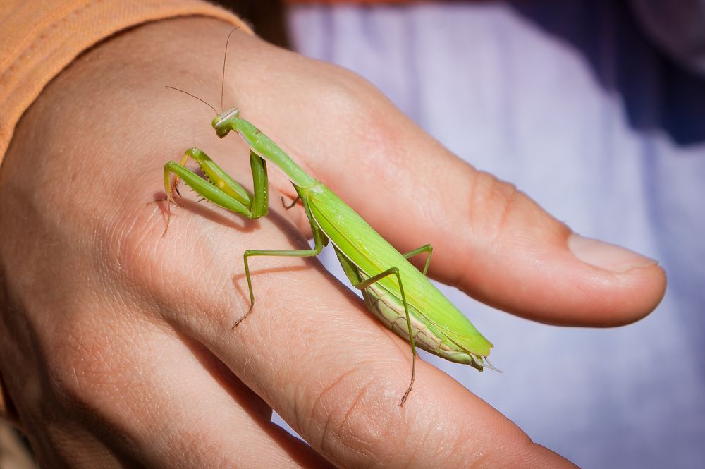 Photograph by Veronika Egorova