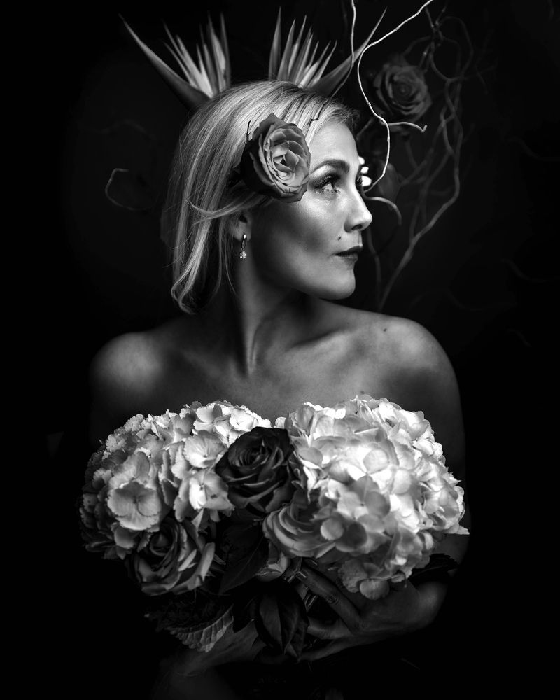 Фотография автора Guillermo A.Sollano