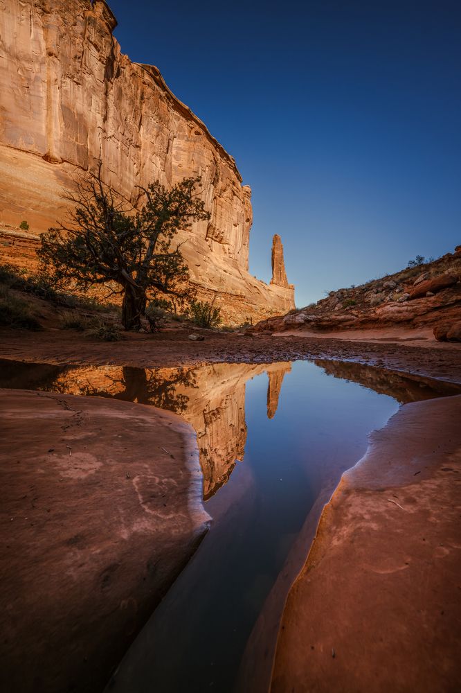 Reflection of Arches