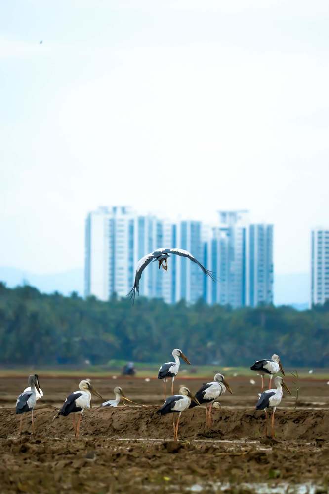 Фотография автора Gokul K. U