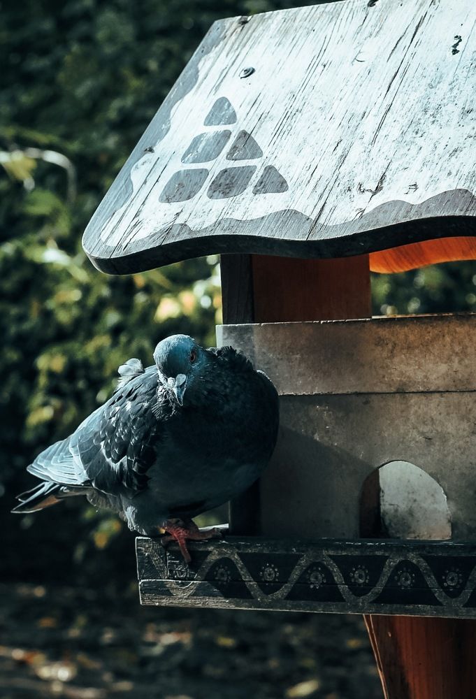 Photograph by Олеся Хижко