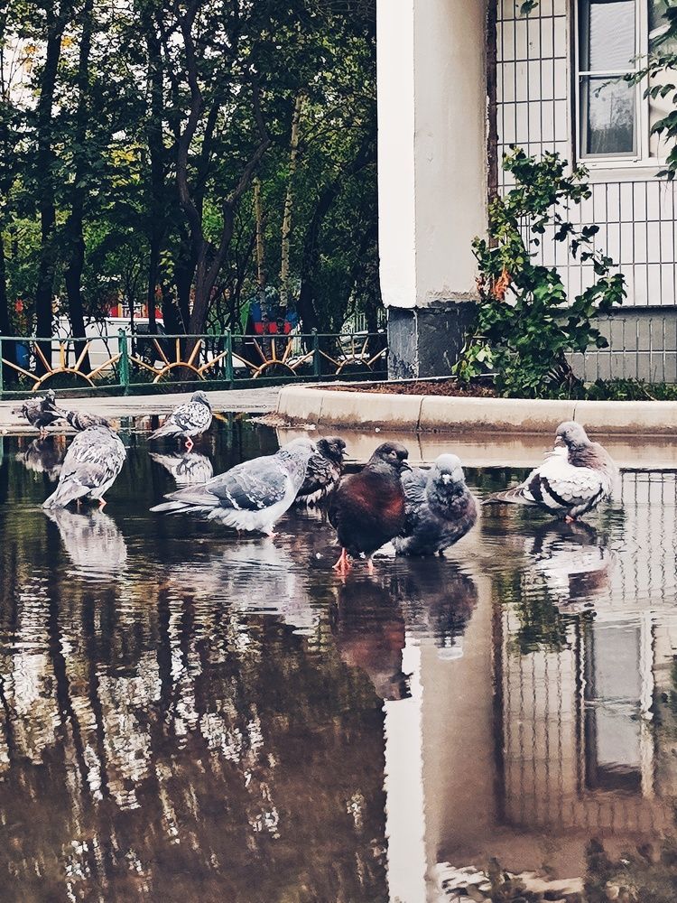 Photograph by Олеся Хижко