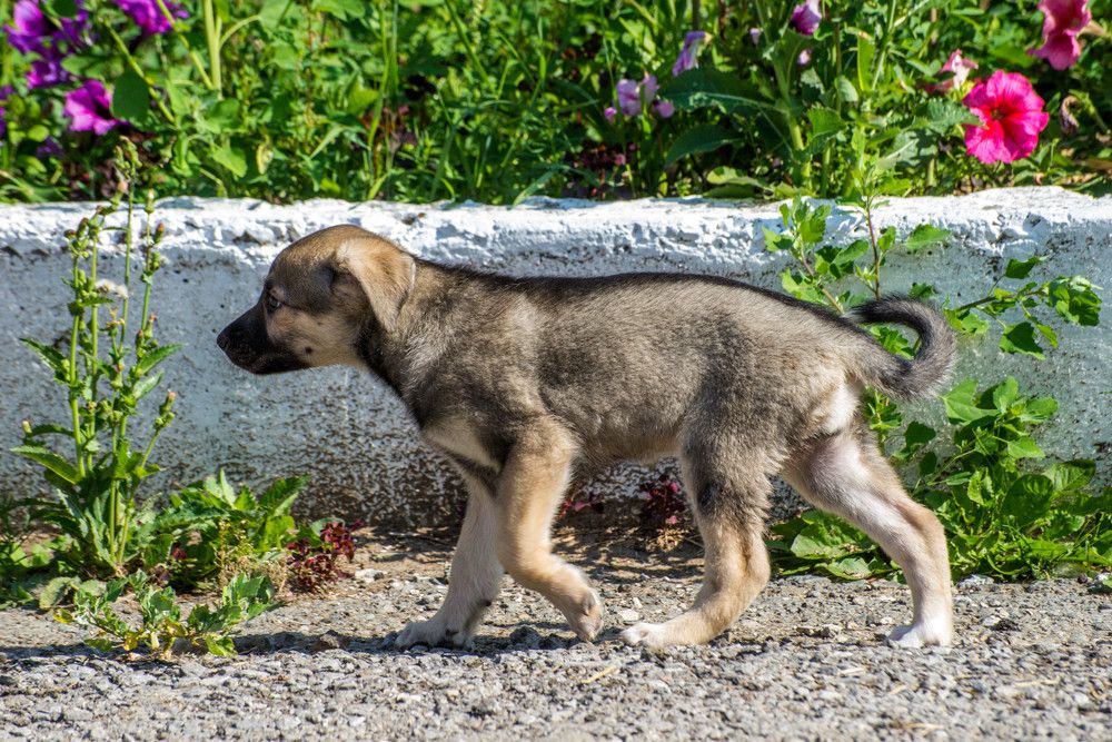 Photograph by Ирина