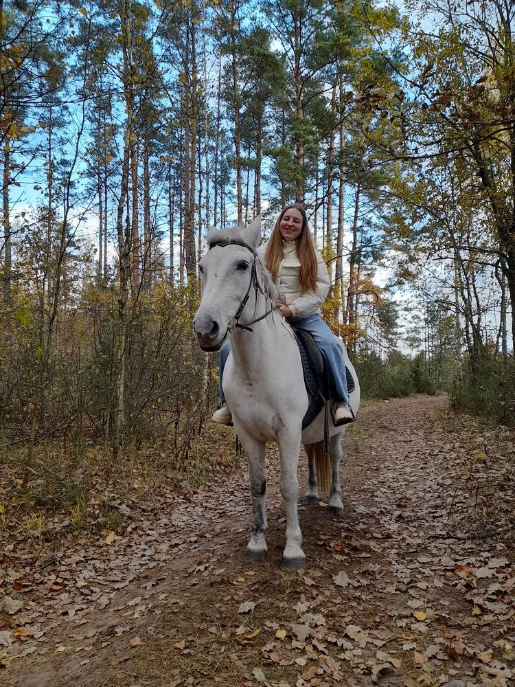 Photo #11754761