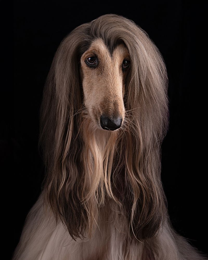 Photograph by Evgeniya Stafeeva