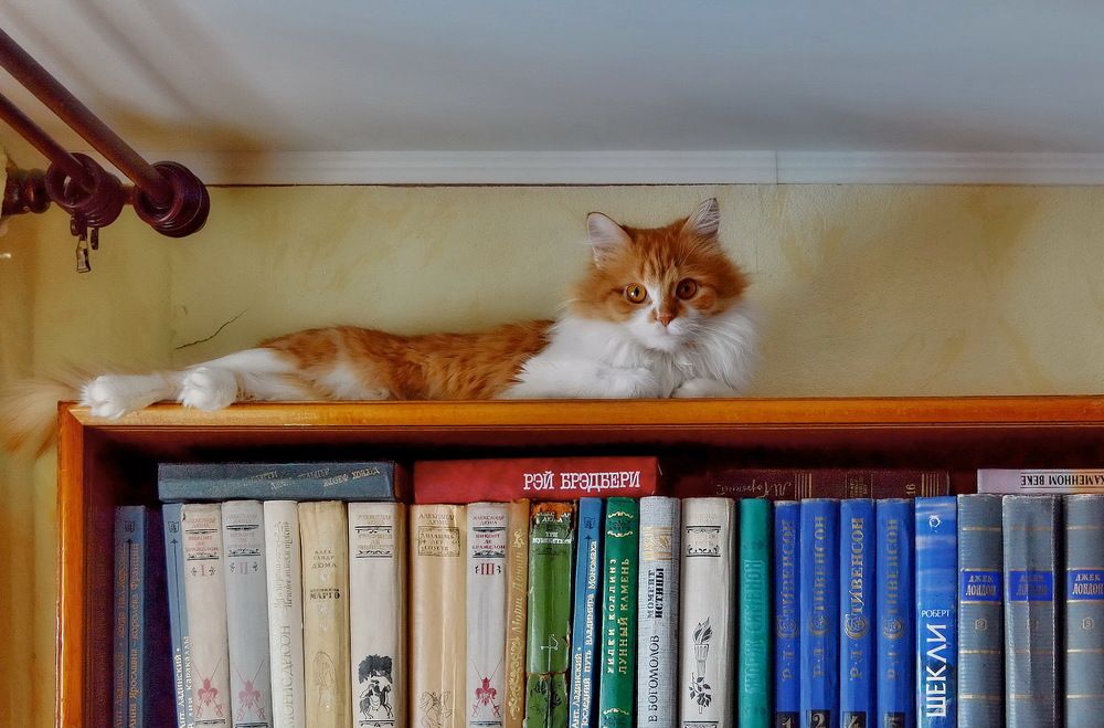 Заведующая библиотекой