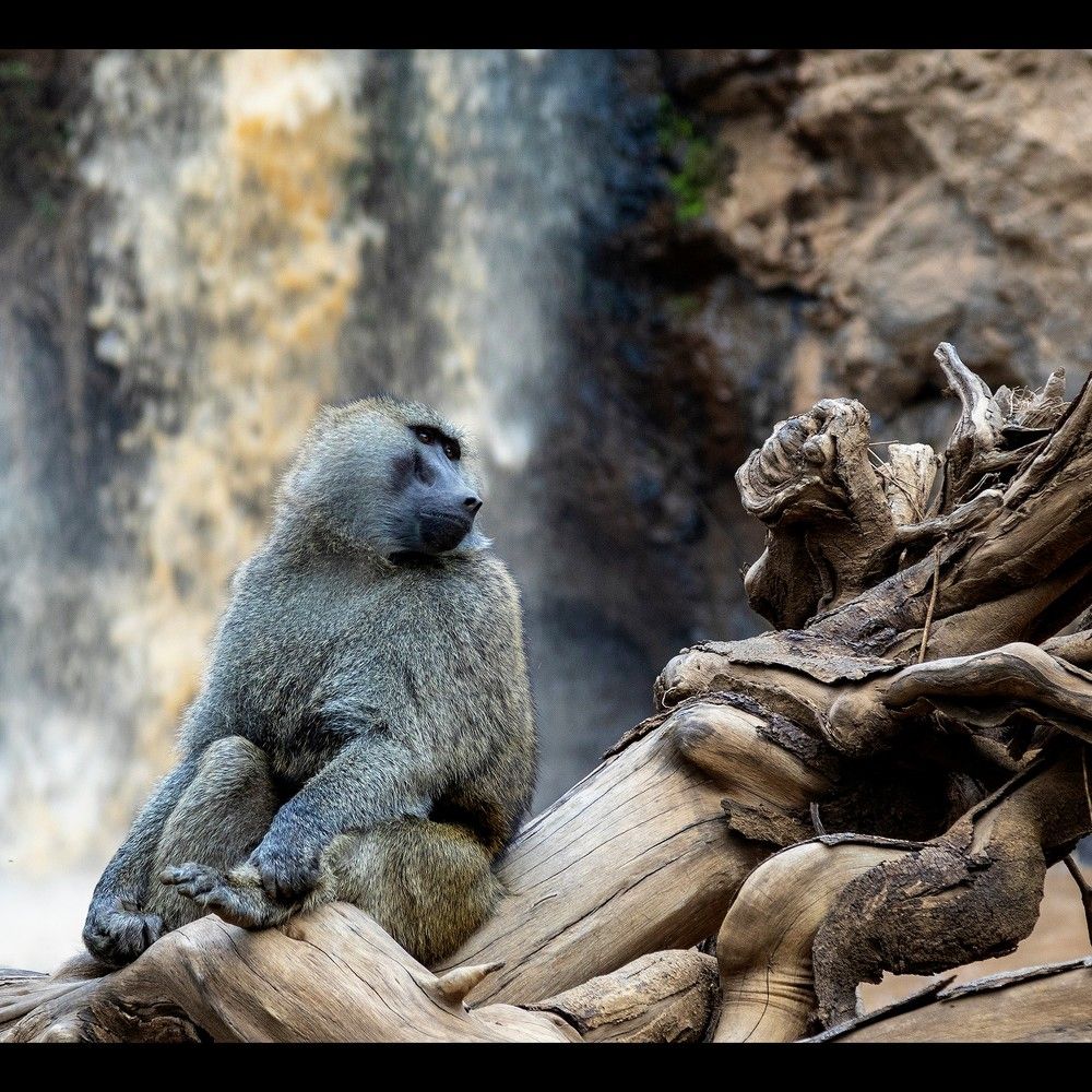 Photograph by Maximo Parpagnoli