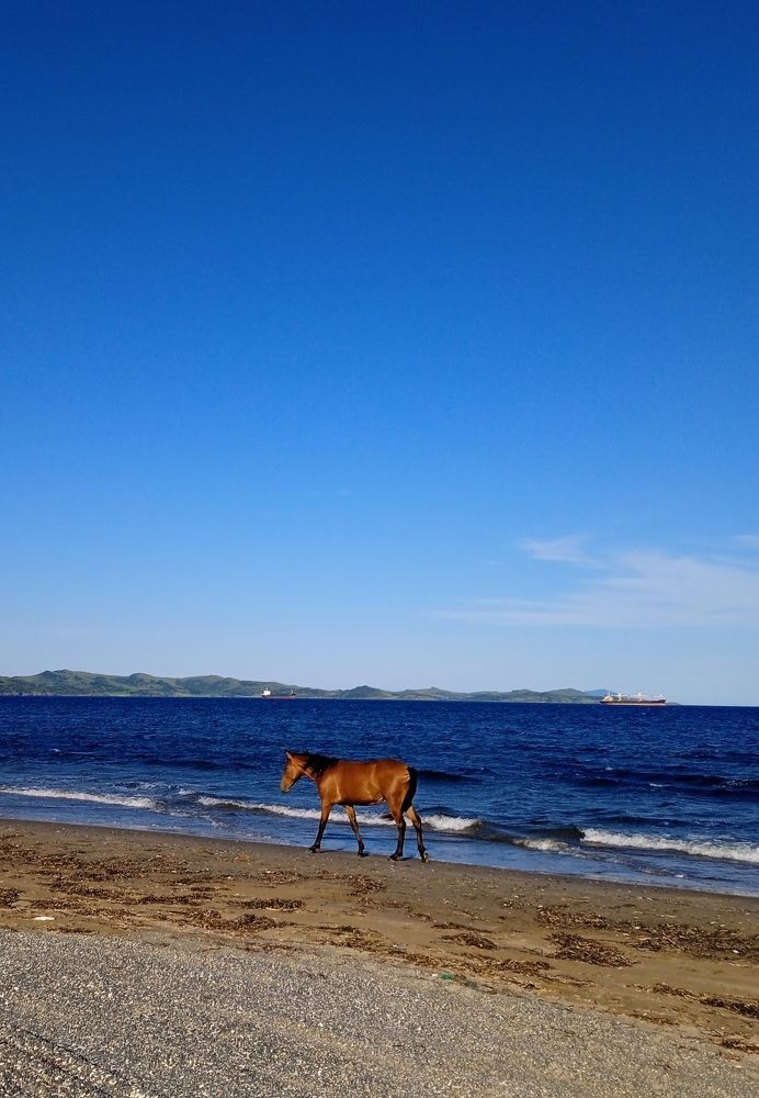 Край трёх границ