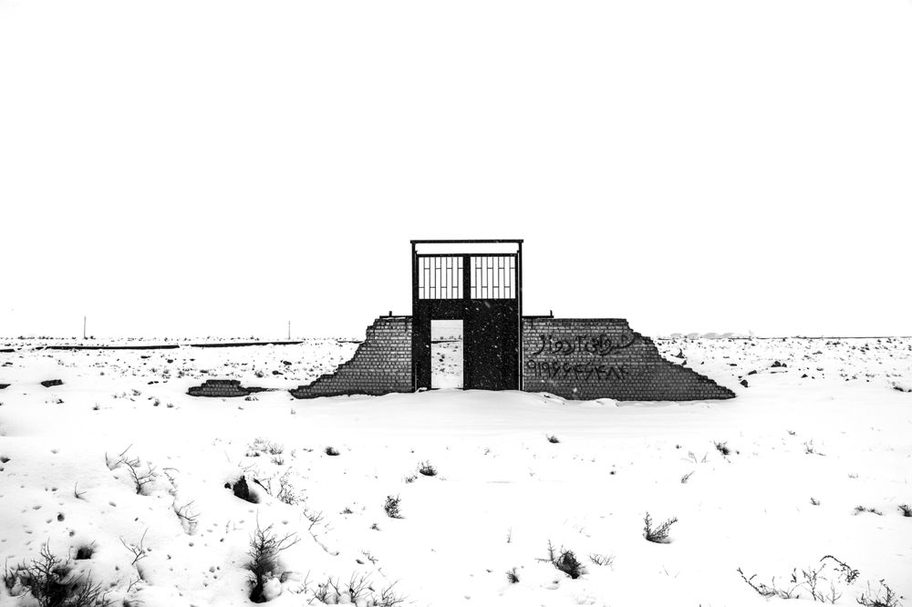 Photograph by samira sarayani