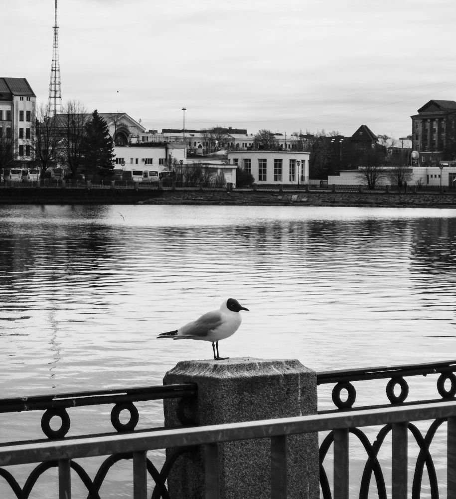 Photograph by Sergey Kurkov-Tarkovsky