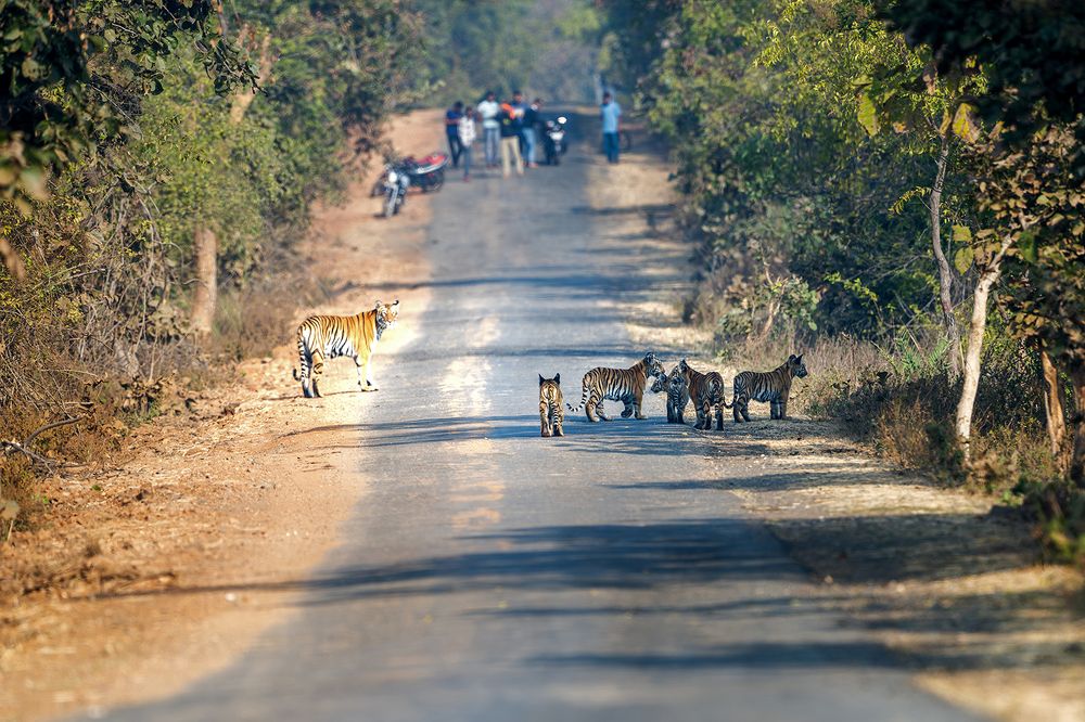 Фотография автора apurba Das