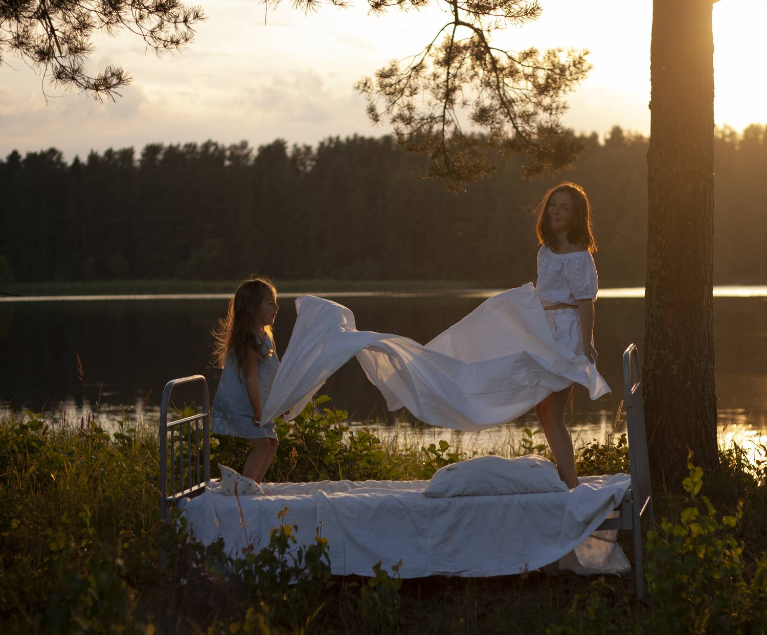 Photo #11754879