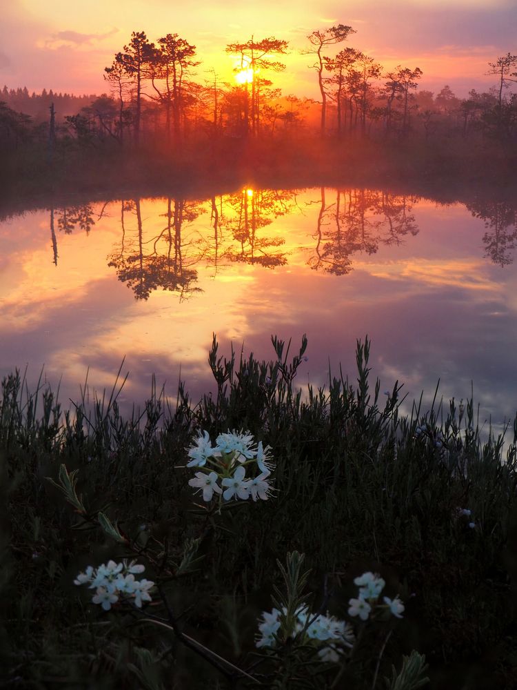 Фотография автора Дарина Соболь