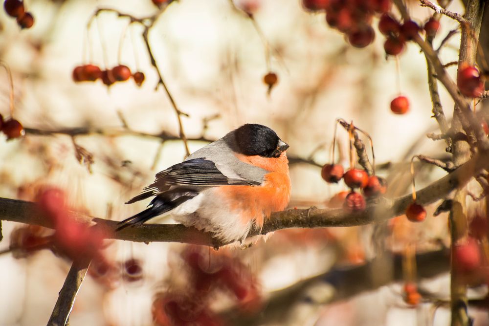 Photograph by Ирина