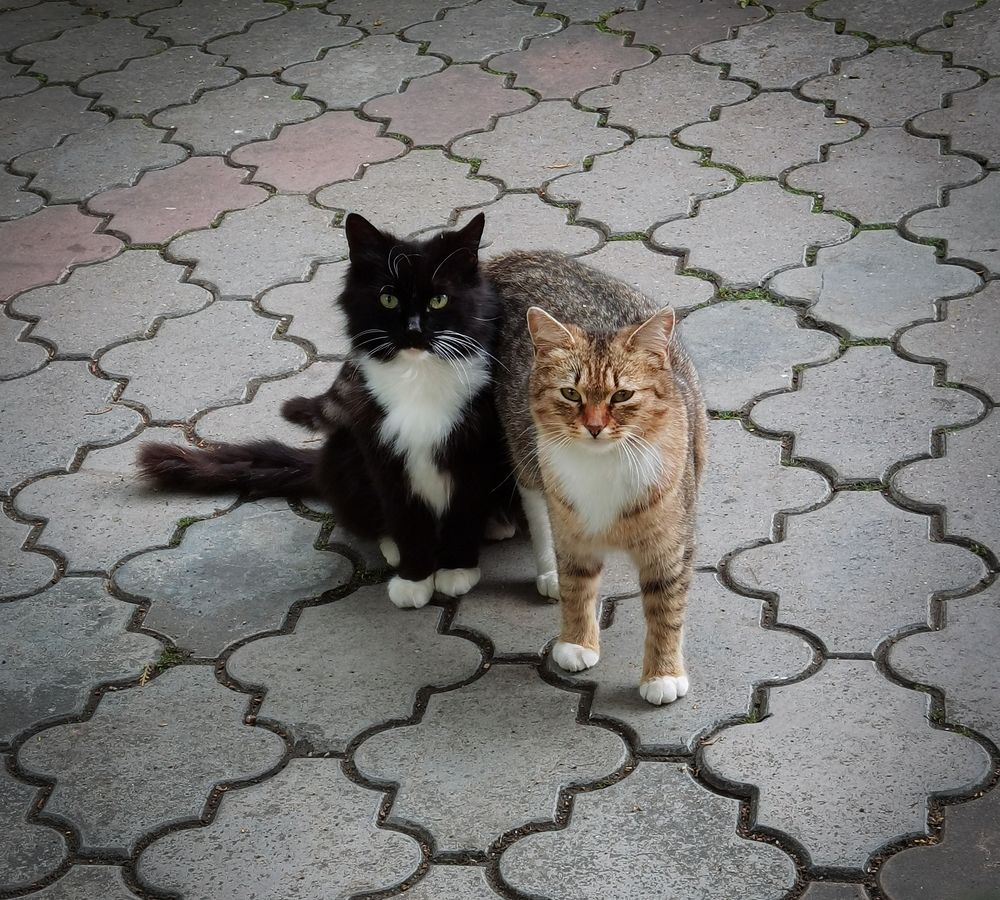 Photograph by Inna Ivanova