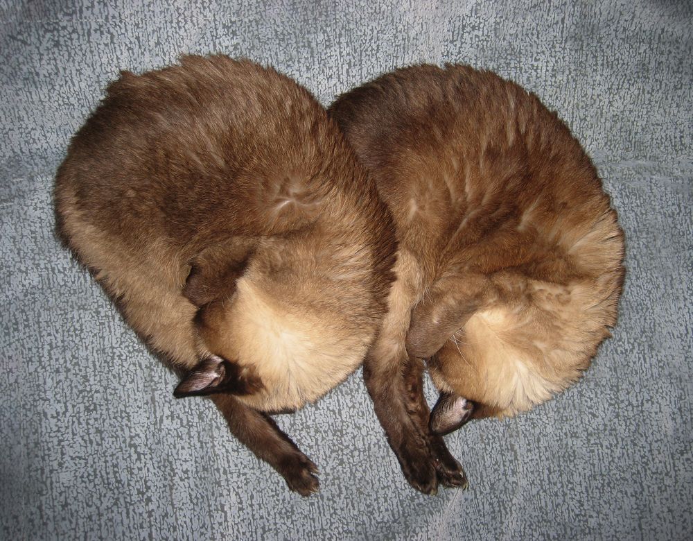 Photograph by Inna Ivanova