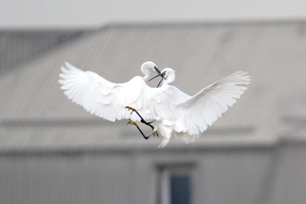 Фотография автора Владимир Соколов