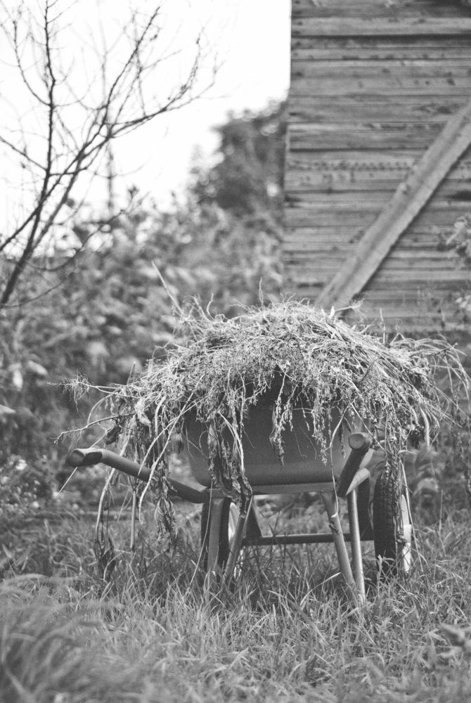 Photograph by Дмитрий Пацук