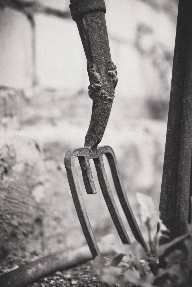 Photograph by Дмитрий Пацук